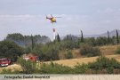 Cremen 32 hectàrees a <a href=