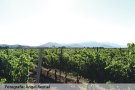 Vacances i relax, al Càmping Vell Empordà