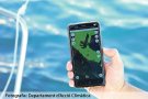 Com saber on són els boscos marins a través d’una app