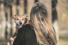 Eines contra la violència vicària