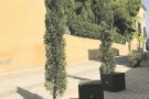 Espolla col·loca bancs amb 