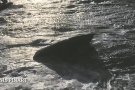 Sortir a navegar era una imprudència