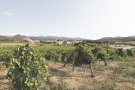 L'Hora del Poble: Espolla