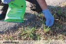 L’Alt Empordà, molt afectat pel llançament de burilles