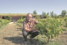 Antoni Falcón: «Cal entendre el conreu com un petit ecosistema i no com un monocultiu»