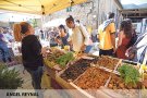 Albanyà celebra la desena Fira del Bolet el 23 i 24 d’octubre