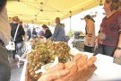 Maçanet recupera la Fira de la Castanya i impulsa les Jornades Gastronòmiques