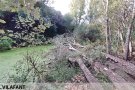 Vilafant reclama la neteja urgent de la llera del riu Manol
