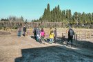 Obren el termini per presentar sol·licituds per tenir un hort urbà