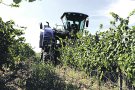 L’Alt Empordà rep 21.000 euros en ajuts a les zones rurals