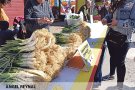 La Fira de la Ceba i el Calçot de Vila-sacra torna amb força