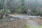 Treva a la sequera, amb més de 100 litres acumulats