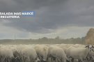 La Ballena Alegre, de la mà amb els productors locals