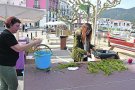 La Fira de l'Espàrrec del Port de la Selva es posposa una setmana