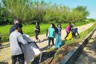 Alumnes de l’Institut Muntaner recullen 60 kg de plàstic, 20 kg de cartró i 100 kg de runa