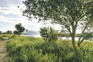 Camins de natura a Sant Pere