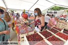 Terrades posarà a la venda tres mil quilos de cireres dels seus productors locals