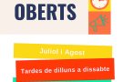 Patis Oberts a l’escola Ruiz Amado de Castelló