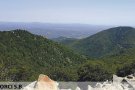 El Consorci Salines Bassegoda vol protegir i conservar el seu espai natural