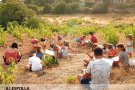Espolla també celebra el seu patró, Sant Jaume