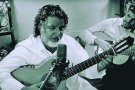 Músic Estiu, deu actuacions de petit format en directe