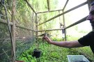 La trenca torna als Aiguamolls