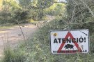 Els caçadors es planten amb el Govern i no caçaran senglars