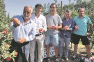 Menys pomes, però més dolces