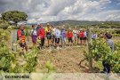 Els cellers de la DO Empordà es recuperen