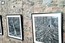 El bosc de la Massane, a la sala Walter Benjamin