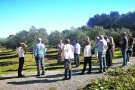 L’oleoturisme agafa impuls a la Costa Brava