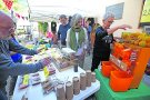 Ecologia, reciclatge i sostenibilitat a l’EcoFira