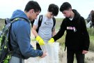 Castelló d’Empúries participa al Let’s Clean Up Europe