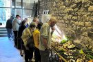 Albanyà es prepara per a un cap de setmana boletaire amb l’11a Fira del Bolet