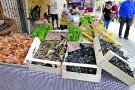 Albanyà viu la millor Fira del Bolet