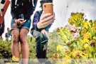 El primer bioblitz al cap de Creus identifica 400 espècies