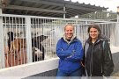 Alumnes de la UAB fan recomanacions per millorar la Protectora de Figueres