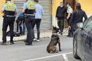 244 denúncies per consum o tinença de drogues al carrer