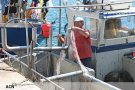 Els vaixells d’encerclament tornen a la mar