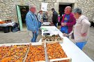 La Fira del Bolet d’Albanyà celebra la dotzena edició