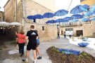 Vilanant s’embelleix amb una Firaflor de sequera