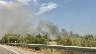 Alerta per un foc de vegetació al Far d'Empordà