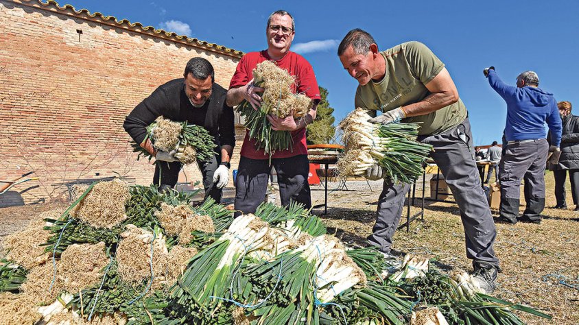Vila-sacra ja té les graelles a punt per celebrar la 19a Fira de la Ceba i el Calçot