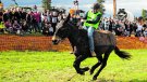 La 39a Fira Comarcal de Primavera de Campllong, epicentre del món rural