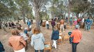 El Vívid fa història amb un 90% d’ocupació mitjana 