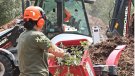 Milloren la gestió forestal de la conca de la Muga per augmentar el cabal del pantà
