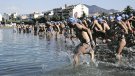 Les travessies rosinques obren inscripcions
