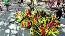 La comarca celebra l’11 de setembre, la Diada Nacional de Catalunya