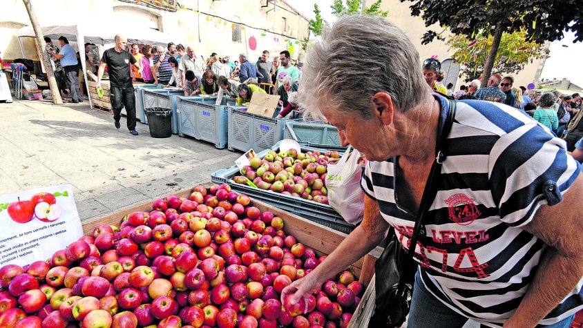 La XXVII fira de la Poma de l’Armentera posarà a la venda entre 11 i 13 tones 