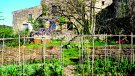 Permacultura, producció agrícola sostenible